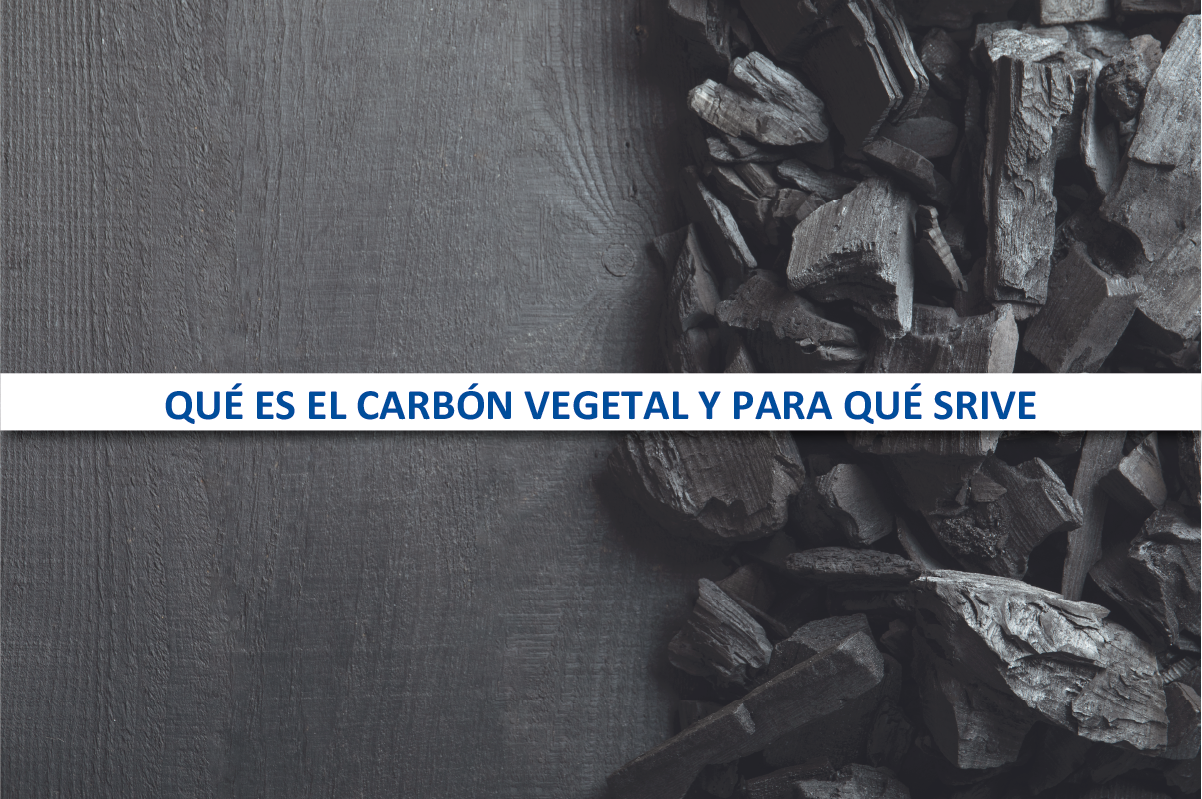 Jardinería / Agricultura Qué es el Carbón Vegetal y para qué sirve -  Llaberia Hydraulic Solutions